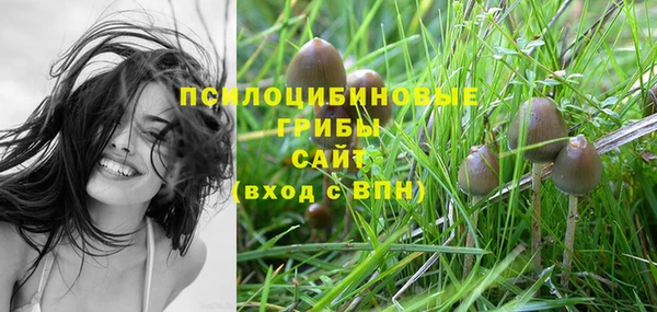 мяу мяу мука Новодвинск