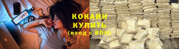 мяу мяу мука Новодвинск