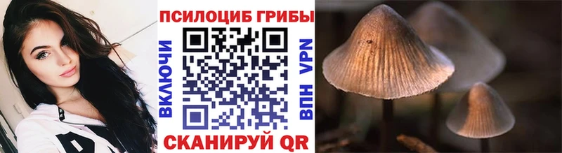Псилоцибиновые грибы Magic Shrooms  Берёзовка 